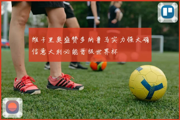 维卡里奥盛赞多纳鲁马实力强大确信意大利必能晋级世界杯